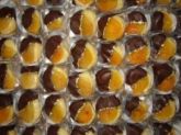 Doce de Damasco